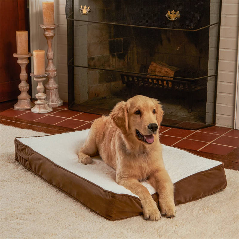 OSCAR ORTHOPEDIC DOG BED